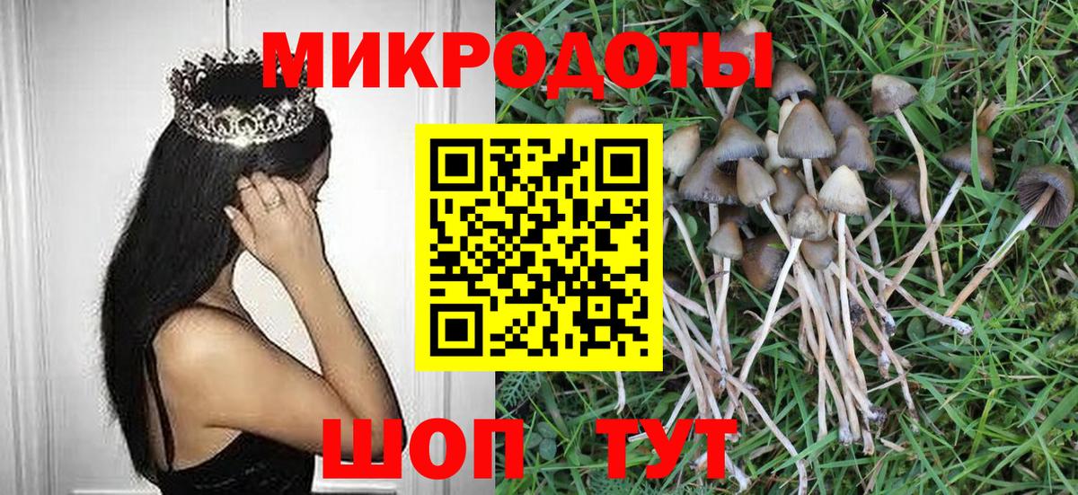 Удомля  Псилоцибиновые грибы мицелий  Галлюциногенные грибы прущие грибы  Вход с VPN 